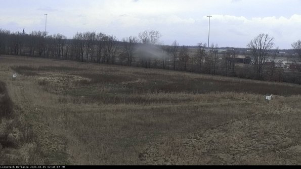 Cell 2_24-03-05_14-46-08-19