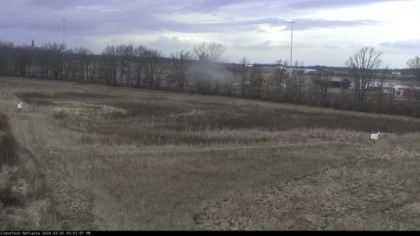 Cell 2_24-03-05_15-53-08-16