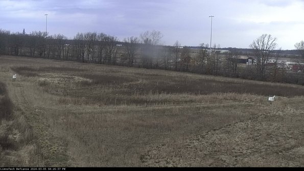 Cell 2_24-03-05_16-26-38-15