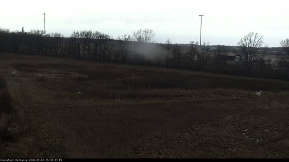 Cell 2_24-03-05_17-33-38-16