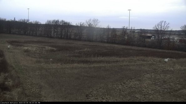 Cell 2_24-03-05_18-07-06-21