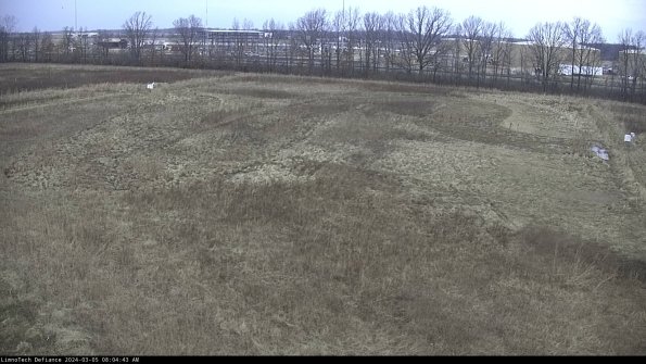 Cell 3_24-03-05_08-04-44-39