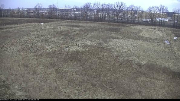 Cell 3_24-03-05_08-38-13-14