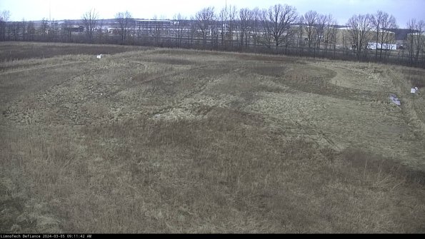 Cell 3_24-03-05_09-11-43-13