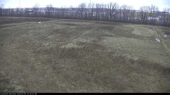 Cell 3_24-03-05_10-18-42-13