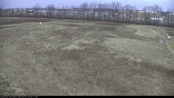 Cell 3_24-03-05_10-52-12-12