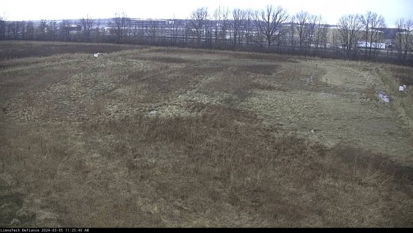 Cell 3_24-03-05_11-25-41-13