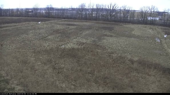 Cell 3_24-03-05_12-32-39-14