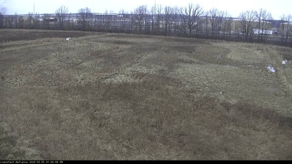 Cell 3_24-03-05_13-06-09-13