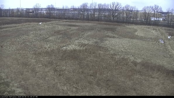 Cell 3_24-03-05_13-39-38-15