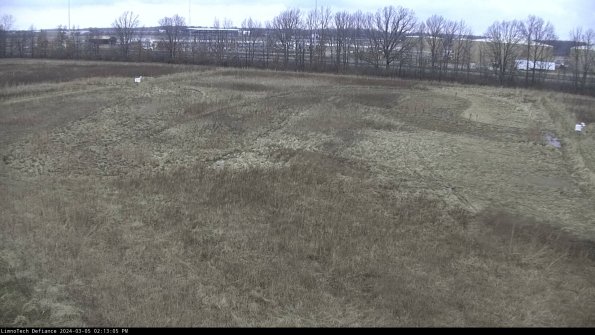 Cell 3_24-03-05_14-13-06-40