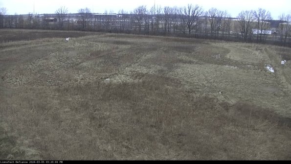 Cell 3_24-03-05_15-20-07-14