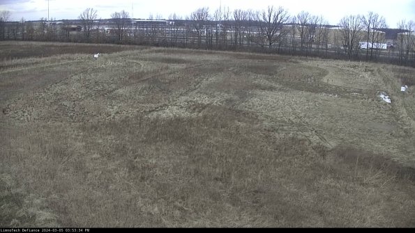 Cell 3_24-03-05_15-53-35-33