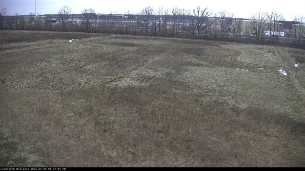 Cell 3_24-03-05_16-27-06-11