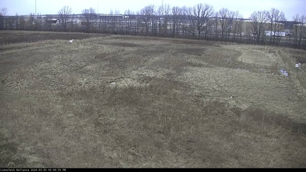 Cell 3_24-03-05_17-00-36-13