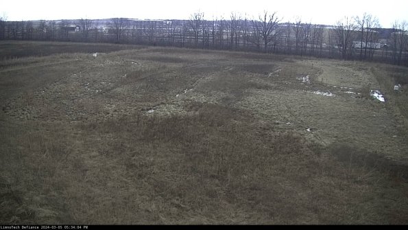 Cell 3_24-03-05_17-34-05-35