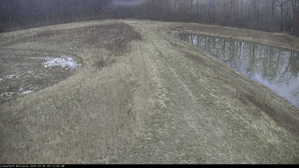 Cell 4 to Basin_24-03-05_09-12-41-12