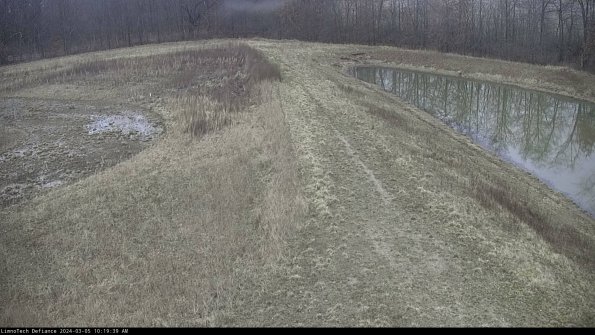 Cell 4 to Basin_24-03-05_10-19-40-16