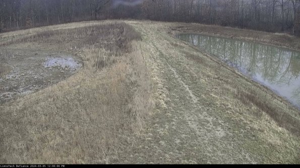 Cell 4 to Basin_24-03-05_12-00-07-14