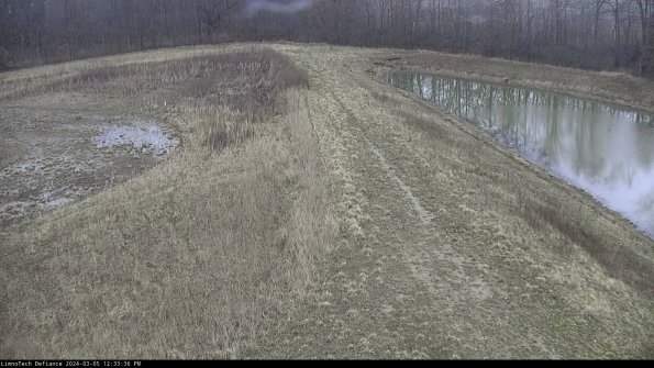 Cell 4 to Basin_24-03-05_12-33-37-16