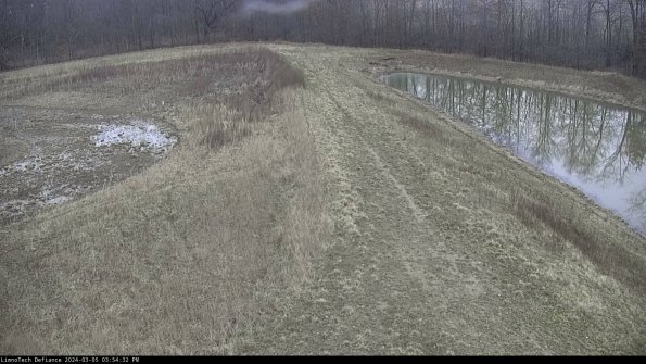 Cell 4 to Basin_24-03-05_15-54-33-15