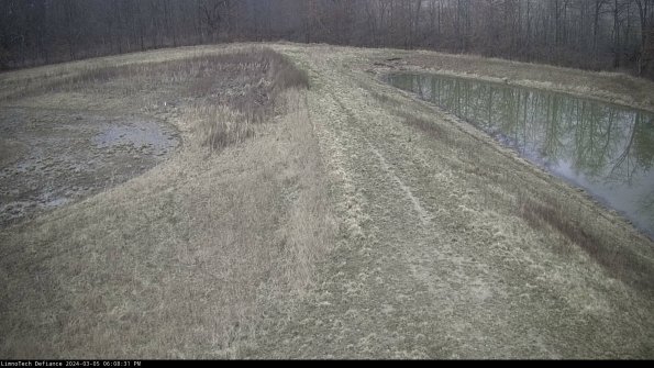 Cell 4 to Basin_24-03-05_18-08-32-13