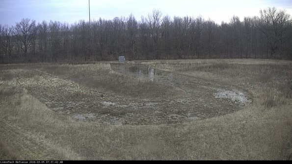 Cell 4_24-03-05_07-31-43-13