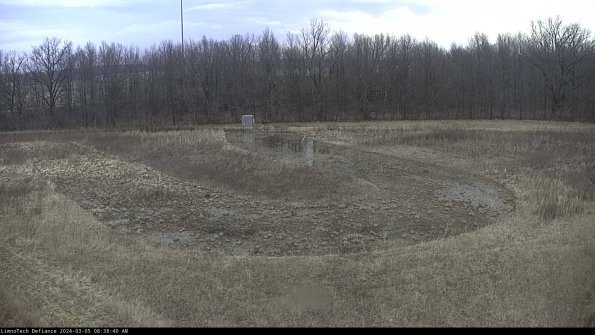 Cell 4_24-03-05_08-38-41-14