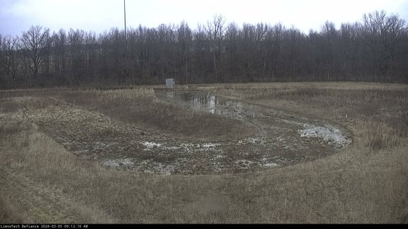 Cell 4_24-03-05_09-12-11-12