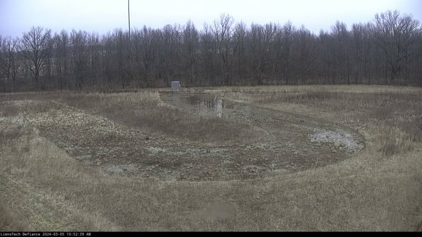 Cell 4_24-03-05_10-52-40-15