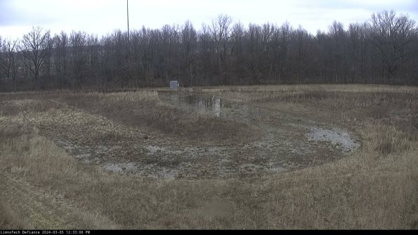 Cell 4_24-03-05_12-33-07-13