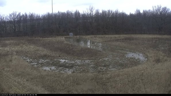 Cell 4_24-03-05_13-06-37-12