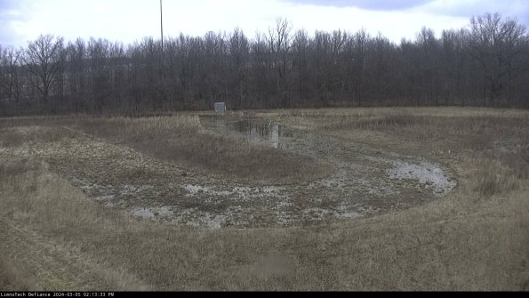 Cell 4_24-03-05_14-13-34-13