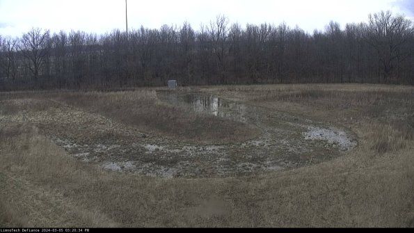 Cell 4_24-03-05_15-20-35-13