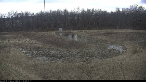 Cell 4_24-03-05_16-27-34-11