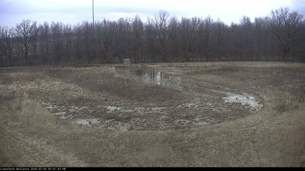 Cell 4_24-03-05_17-01-04-13