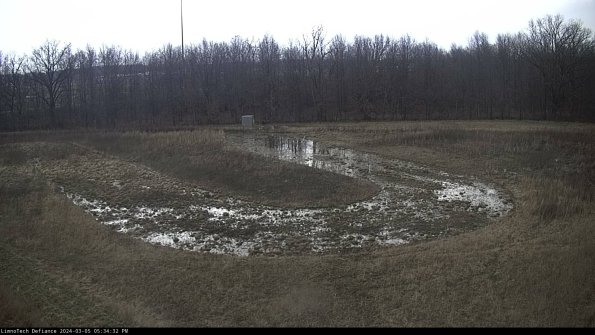 Cell 4_24-03-05_17-34-33-15