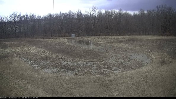 Cell 4_24-03-05_18-08-02-13