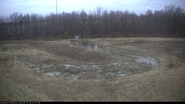 Cell 4_24-03-05_18-41-32-15