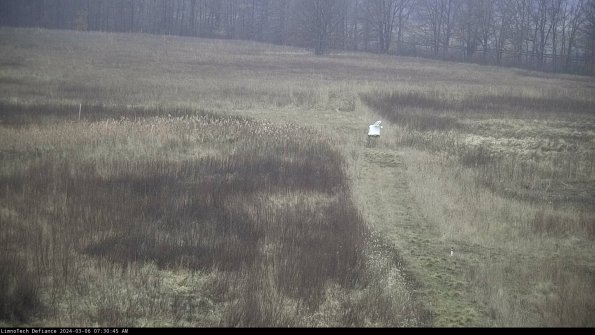 Cell 1 to 2_24-03-06_07-30-46-14