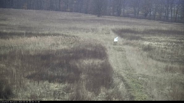 Cell 1 to 2_24-03-06_08-04-16-15