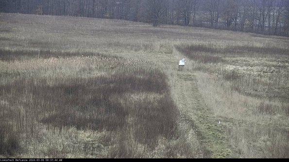 Cell 1 to 2_24-03-06_08-37-45-14