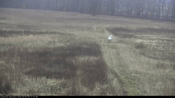 Cell 1 to 2_24-03-06_09-11-15-12