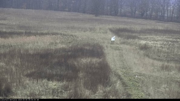 Cell 1 to 2_24-03-06_09-44-44-13