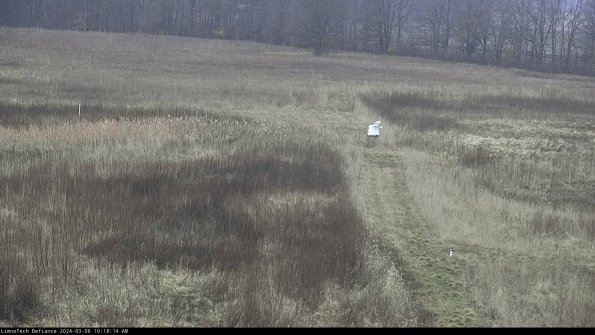 Cell 1 to 2_24-03-06_10-18-15-15