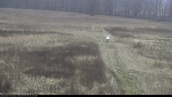 Cell 1 to 2_24-03-06_10-51-44-13