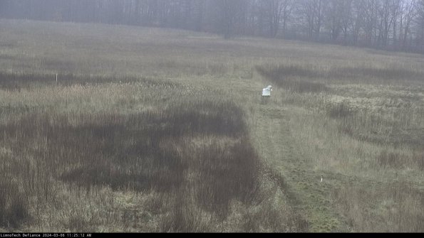 Cell 1 to 2_24-03-06_11-25-13-15