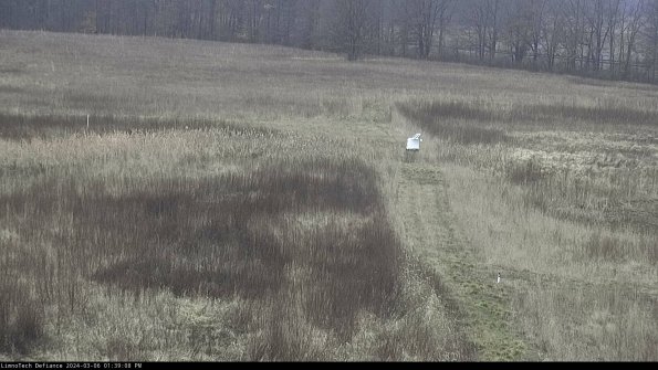 Cell 1 to 2_24-03-06_13-39-09-14