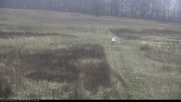 Cell 1 to 2_24-03-06_14-12-40-13