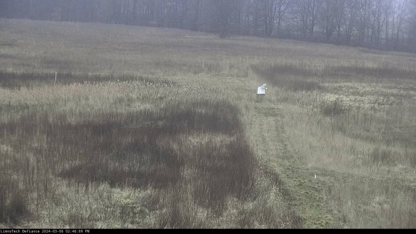 Cell 1 to 2_24-03-06_14-46-10-14